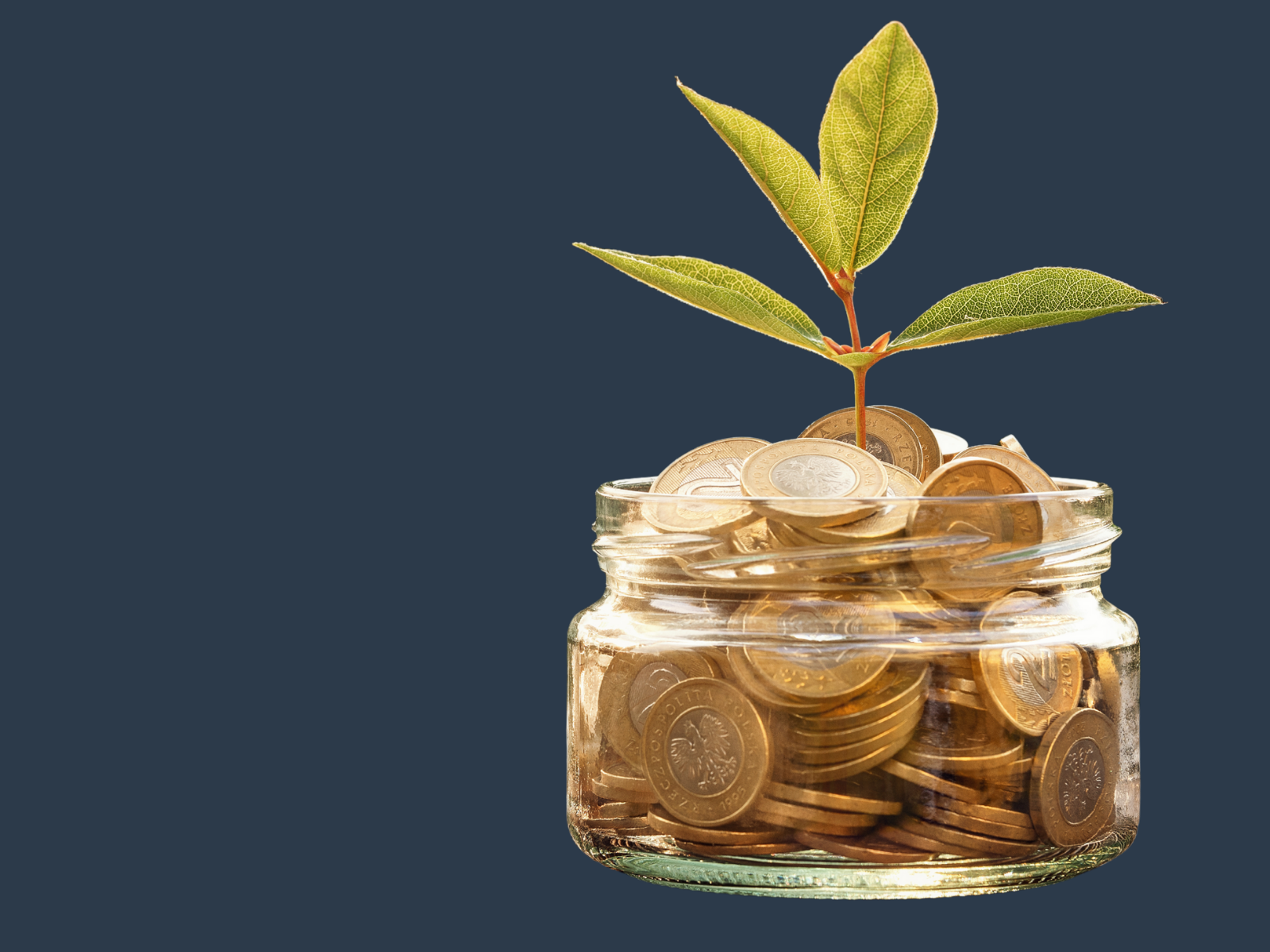 Finance Payment Plans the Mere Hospital Cheshire UK